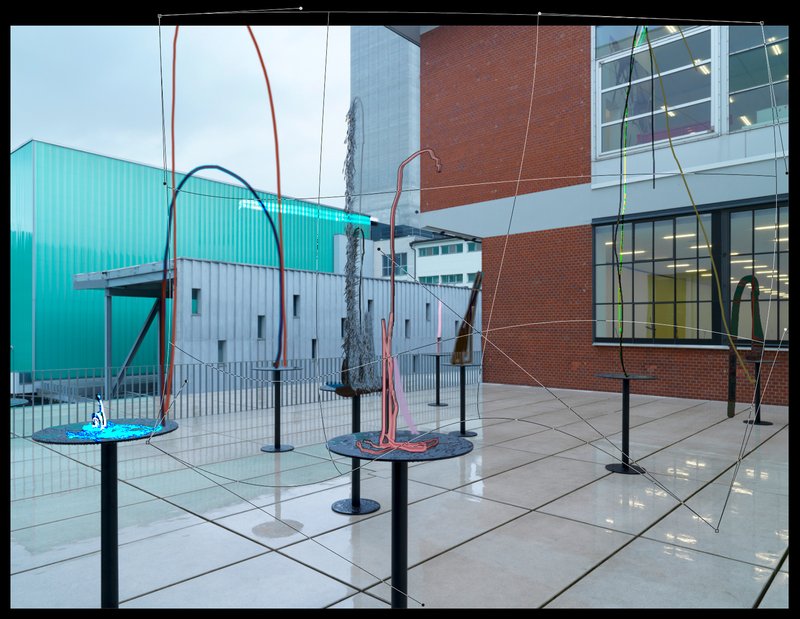 Alex Fischer, Img 6991, 2019-03-24